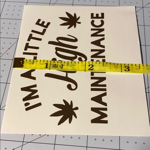 4/$15 High Maintenance Vinyl Decal - Picture 3 of 5